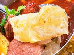 筋头巴脑一锅香-筋头巴脑牛一锅(朝阳路总店)