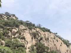 -大岭沟猕猴桃谷风景区