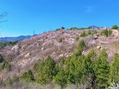 -白水寺森林公园