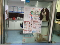 -顺强宠物诊所·狂犬免疫·夜诊·骨科(嘉定店)