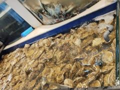 -海天盛宴新派海鲜自助餐厅(群力店)