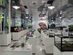-神奇动物撸宠馆·羊驼·小浣熊·异宠(豫园店)