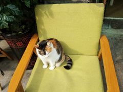 -天一朴素(武汉大学店)