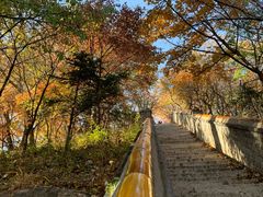 -妙峰山风景名胜区