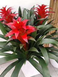 -和颜一美轻医美连锁