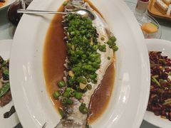 -沪碟·精菜坊(闵行店)