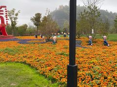 -狼山风景名胜区