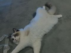 -零纪元VR体验馆·桌游(黄浦店)