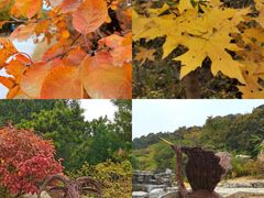 -北京西山国家森林公园