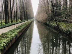 -上海怡沁园度假酒店