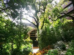 -香港大学