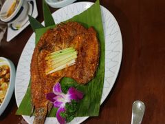 -紫滇源云南生态菜(丹凤街店)
