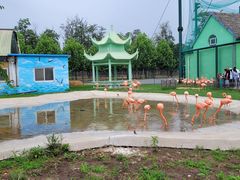 -秦皇岛野生动物园