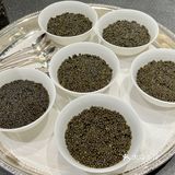 青山在 人未老