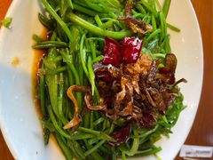 -菌自由丨野生菌火锅特色庭院餐厅(丽江古城店)