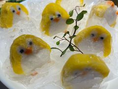 -九鼎轩脆毛肚火锅(南京东路店)