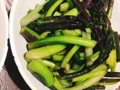 红菜苔-壹盏灯(惠农店)