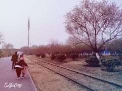 -永定河休闲森林公园