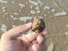 -北戴河东海水浴场