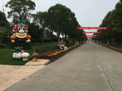 -上海都市菜园