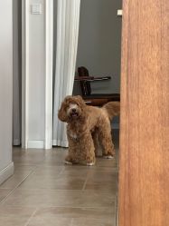 -WAVE SODA摄影工作室