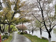 -浙江西子宾馆·牡丹厅