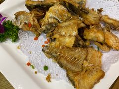 -寻味顺德·南记酒家·传统顺德菜·鱼生(广源路店)