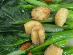 -锦粤宫·精致粤菜(深圳北站店)