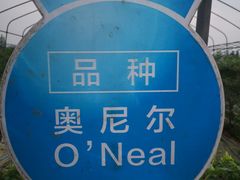 -森田蓝莓采摘园