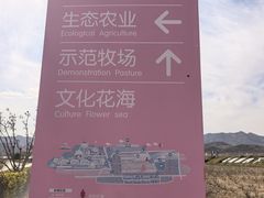 -君乐宝优致牧场