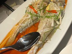 -双合园·海鲜水饺青岛菜(上清路店)
