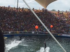 -秦皇岛乐岛海洋王国