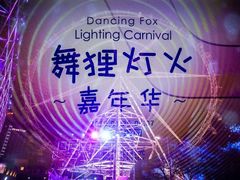 -锦江乐园舞狸花花游园会(夜场专享)