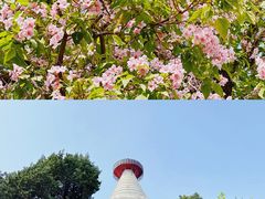 -妙应寺白塔