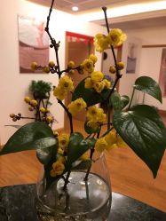 -杰爱月子护理中心