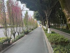 -成飞公园