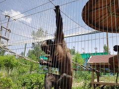 -鄂尔多斯野生动物园