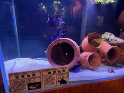 -Zoolung Zoolung动物主题公园(海信广场店)