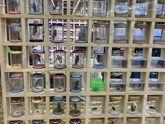 -三旗百汇商品城