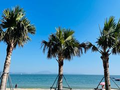 -大梅沙海滨公园