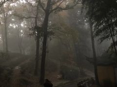 -灵岩山风景区
