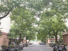 -东华大学(松江校区)