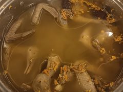 药膳乳鸽汤-百利鸽王(紫薇路店)