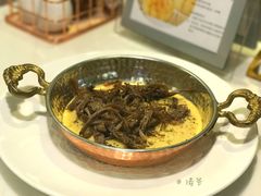 -伊斯坦布尔土耳其清真咖啡餐厅