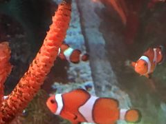 -沈阳海洋探索中心