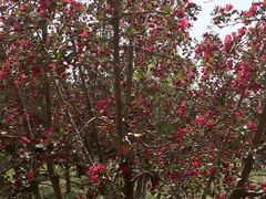 -长春公园(普阳街道)