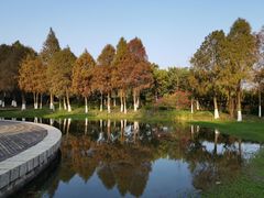 -厦门国家会计学院