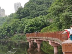 -重庆彩云湖湿地公园