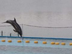 android_upload_pic-秦皇岛乐岛海洋王国