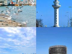 -巧克力渔家.小船海鲜胶东菜(万平口店)